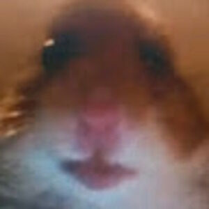 Meet your Posher, Anime_vids